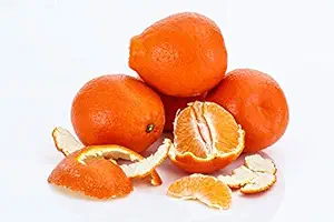 Kejora Fresh Honeybell Oranges