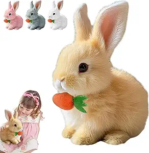 Exploring the World of Toys: A Detailed Comparison Between Fiopet and Newyoo’s Latest Offerings Exploring the World of Toys: A Detailed Comparison Between Fiopet and Newyoo's Latest Offerings