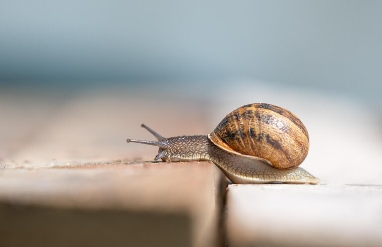 Is COSRX Snail Mucin 96 Really Worth It in 2026, or Are Most Reviews Missing the Point?
