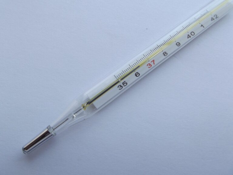 What Do Most meat thermometer Buyers Get Wrong? The 2026 Expert Buying Guide