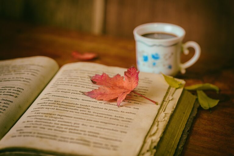 What Do Most mushroom coffee blend Buyers Get Wrong? The 2026 Expert Buying Guide