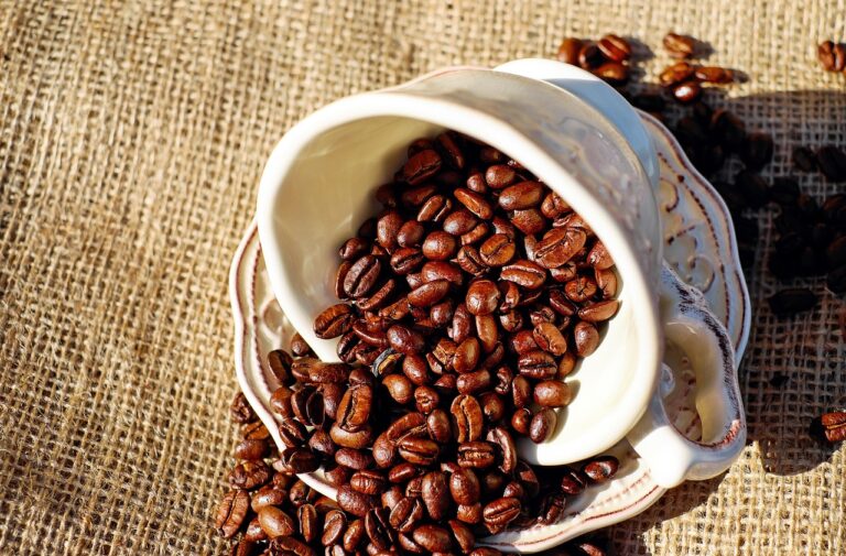 What Do Most mushroom coffee for productivity Buyers Get Wrong? The 2026 Expert Buying Guide