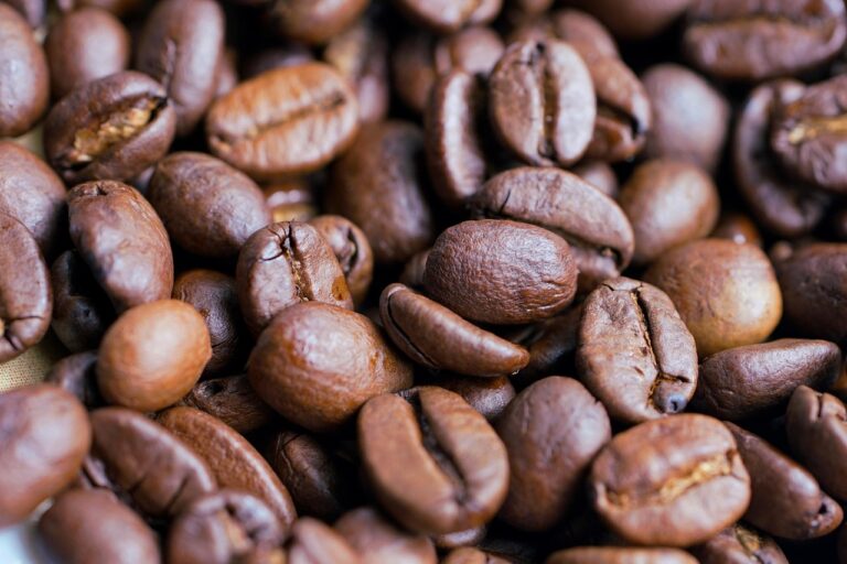 What Do Most premium mushroom coffee Buyers Get Wrong? The 2026 Expert Buying Guide