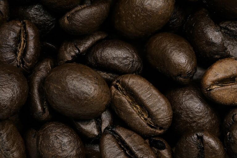 What Is the Best decaf mushroom coffee in 2026? 3 Products Tested and Compared
