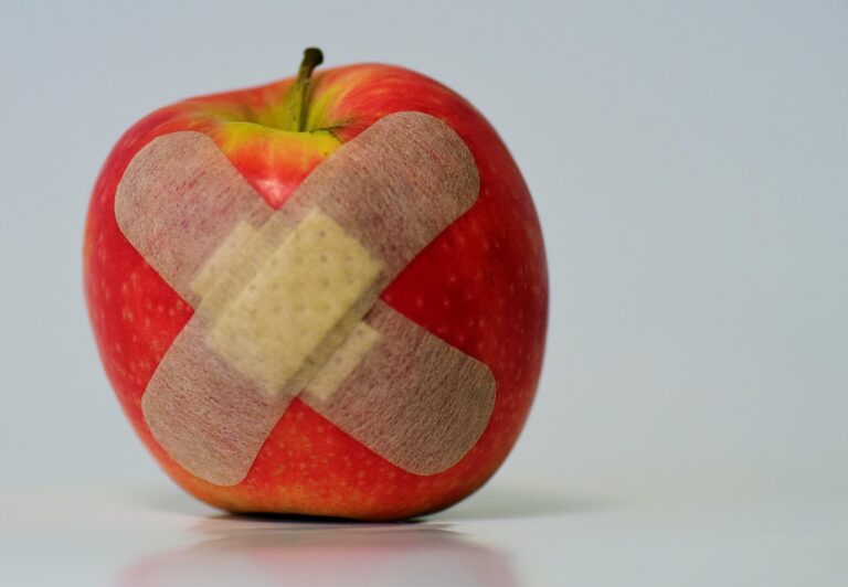 What Is the Best first aid kit in 2026? 3 Products Tested and Compared