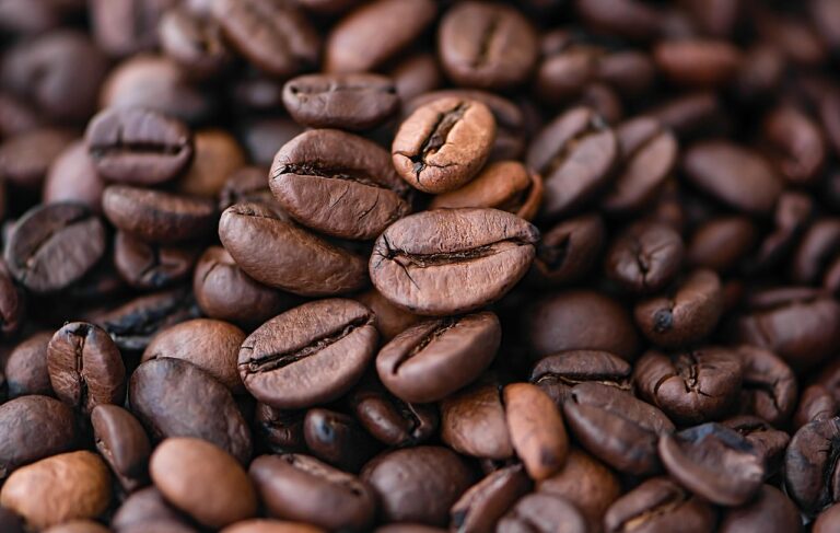 What Is the Best keto mushroom coffee in 2026? 3 Products Tested and Compared