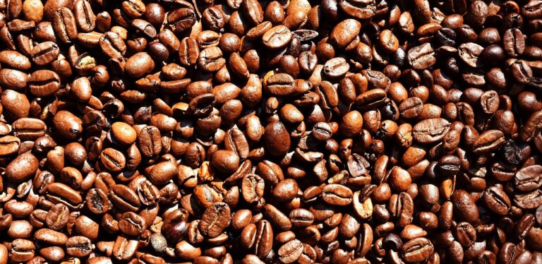 What Is the Best medium roast mushroom coffee in 2026? 3 Products Tested and Compared
