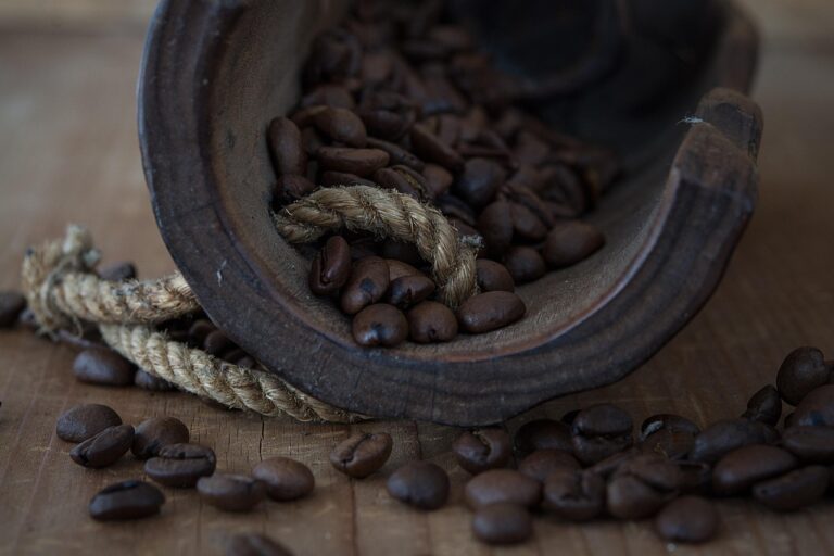 What Is the Best mud water coffee in 2026? 3 Products Tested and Compared