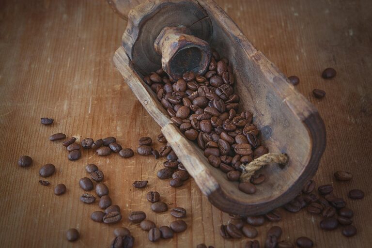What Is the Best mushroom coffee benefits in 2026? 3 Products Tested and Compared