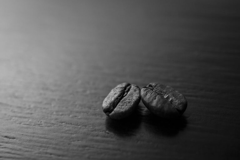 What Is the Best mushroom coffee for focus in 2026? 3 Products Tested and Compared