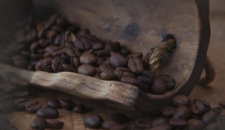 What Is the Best mushroom coffee for gut health in 2026? 3 Products Tested and Compared