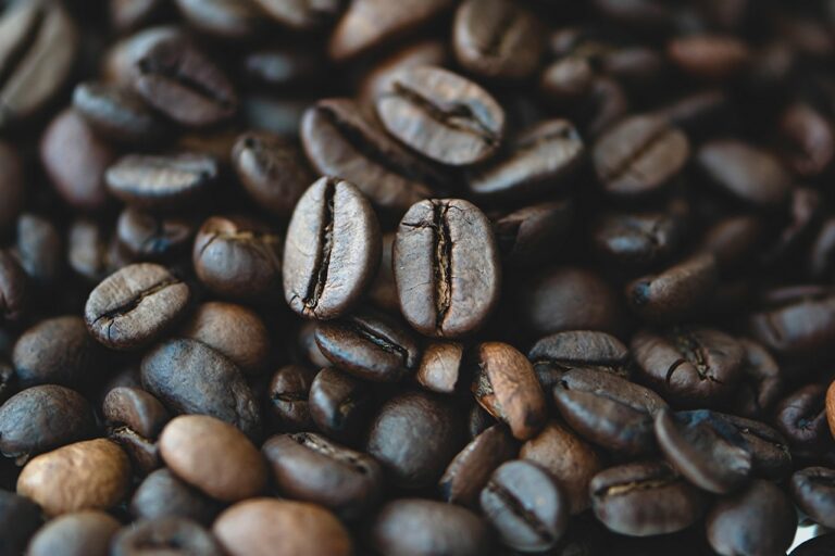 What Is the Best mushroom coffee with collagen in 2026? 3 Products Tested and Compared