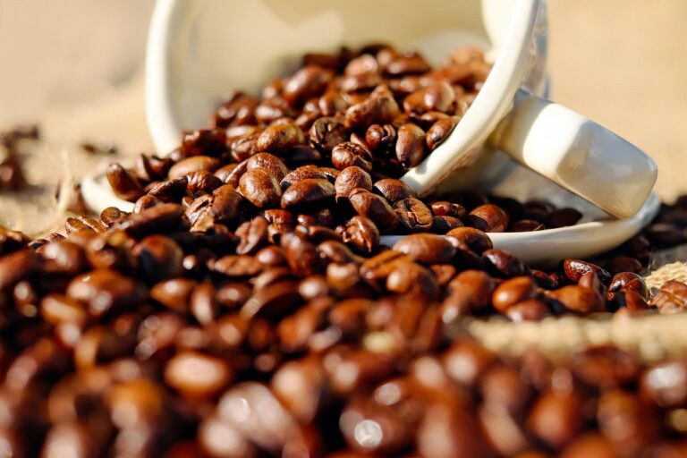 What Is the Best nootropic coffee in 2026? 3 Products Tested and Compared