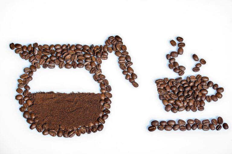 What Is the Best organic mushroom coffee in 2026? 3 Products Tested and Compared