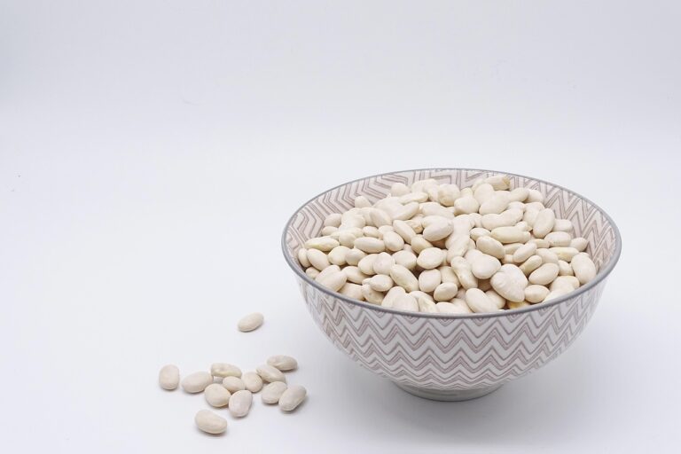 What Is the Best protein powder in 2026? 3 Products Tested and Compared