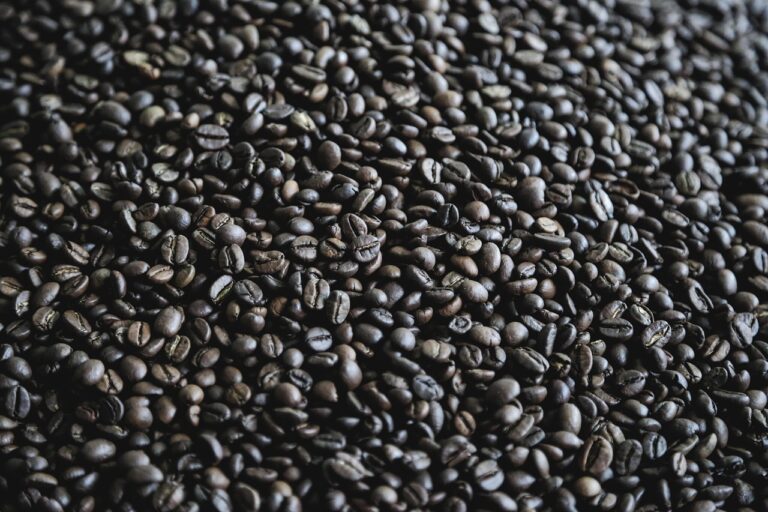 What Is the Best ryze mushroom coffee in 2026? 3 Products Tested and Compared