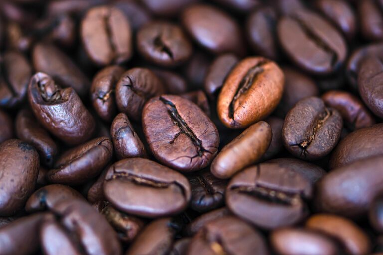 What Is the Best superfood coffee in 2026? 3 Products Tested and Compared