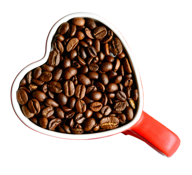 What Is the Best turkey tail coffee in 2026? 3 Products Tested and Compared